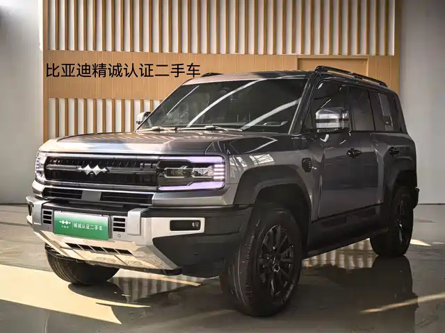 BYD LEOPARD 5