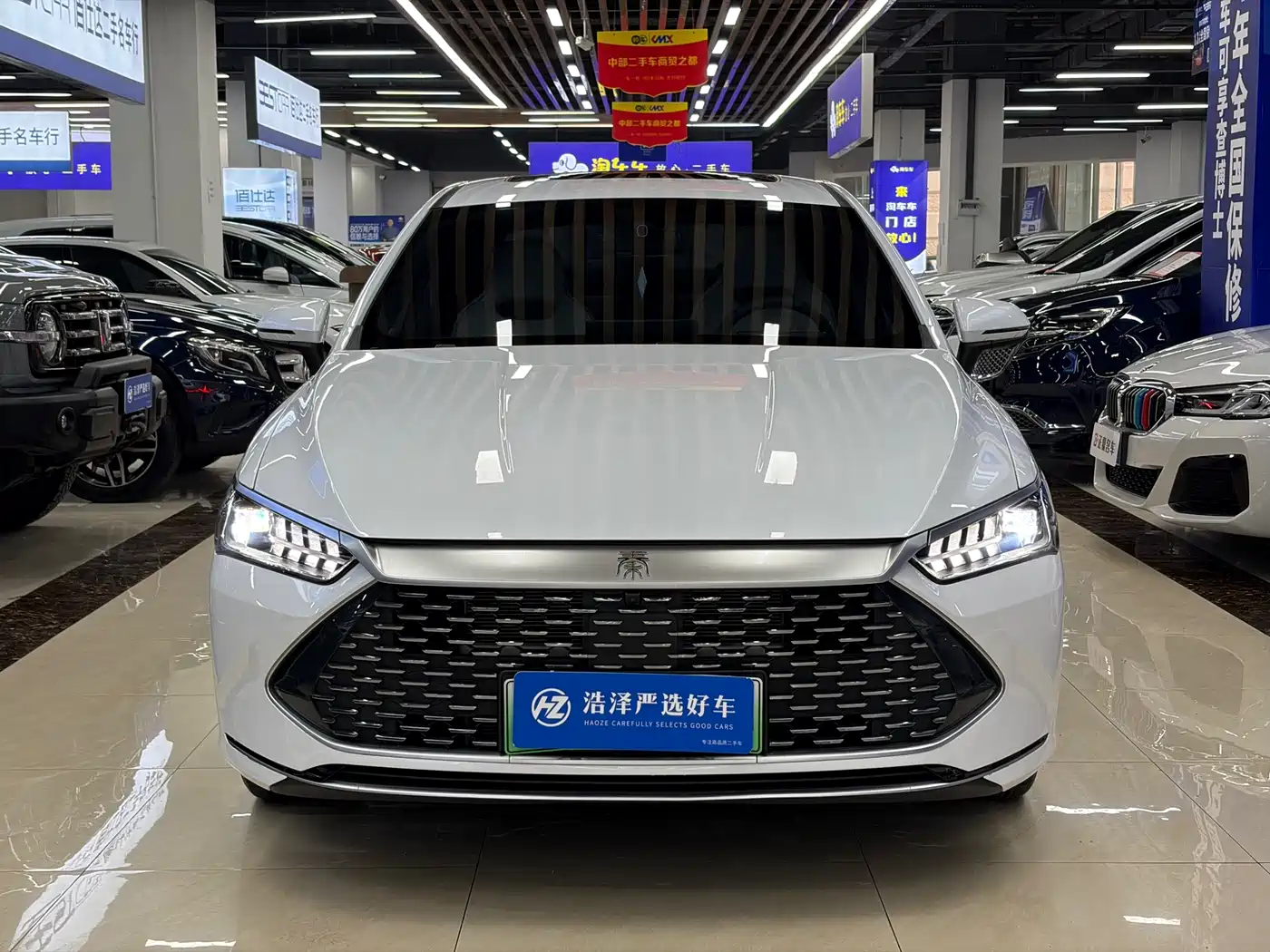 BYD Qin PLUS 2024 Glory Edition DM-i 120KM Surpass фото 2