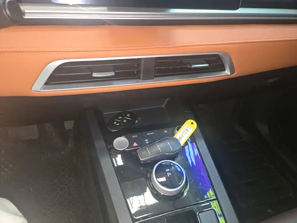 BYD e2 2021 2021 Luxury Edition