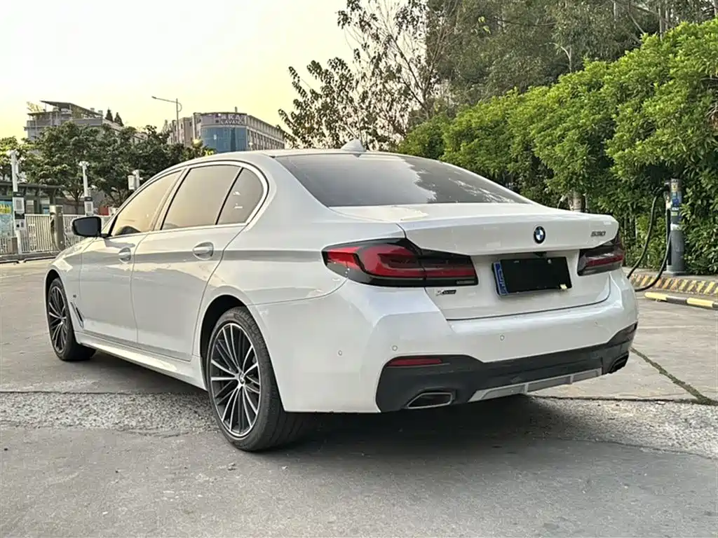 BMW 5 Series 2021 530Li xDrive M Sport Package фото 28