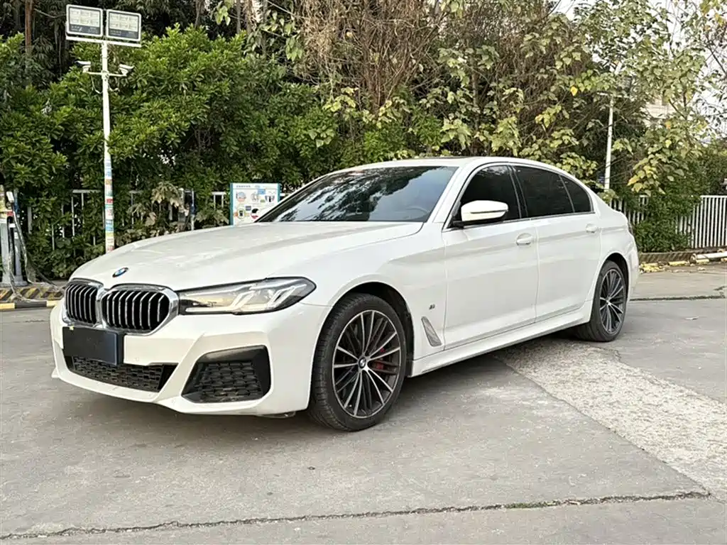 BMW 5 Series 2021 530Li xDrive M Sport Package