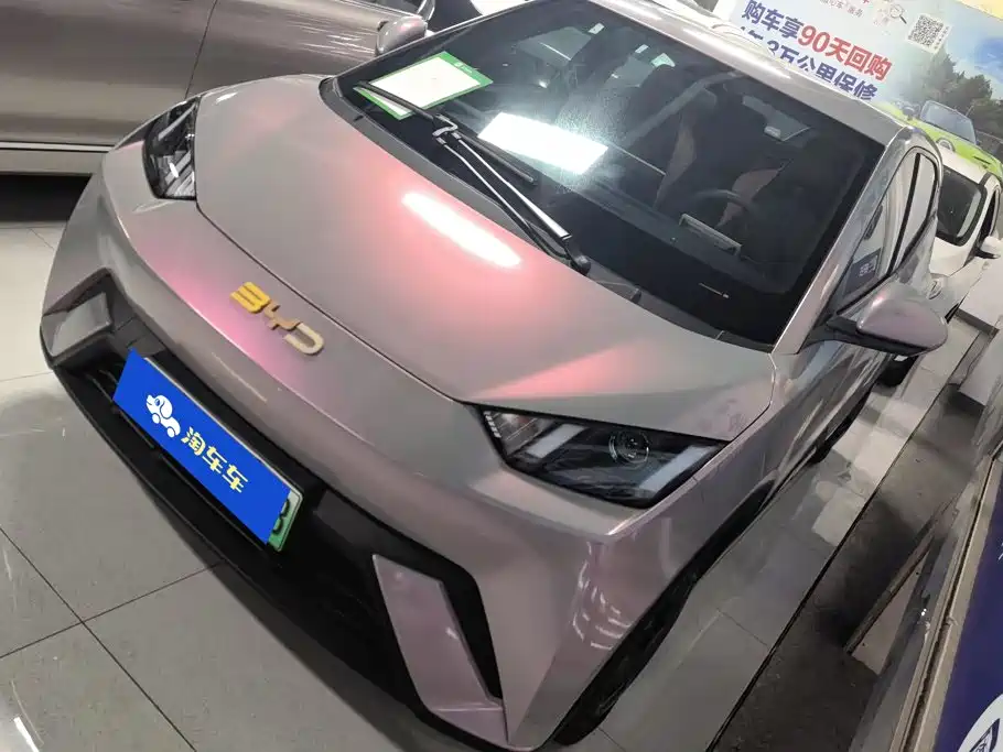 BYD Seagull 2024