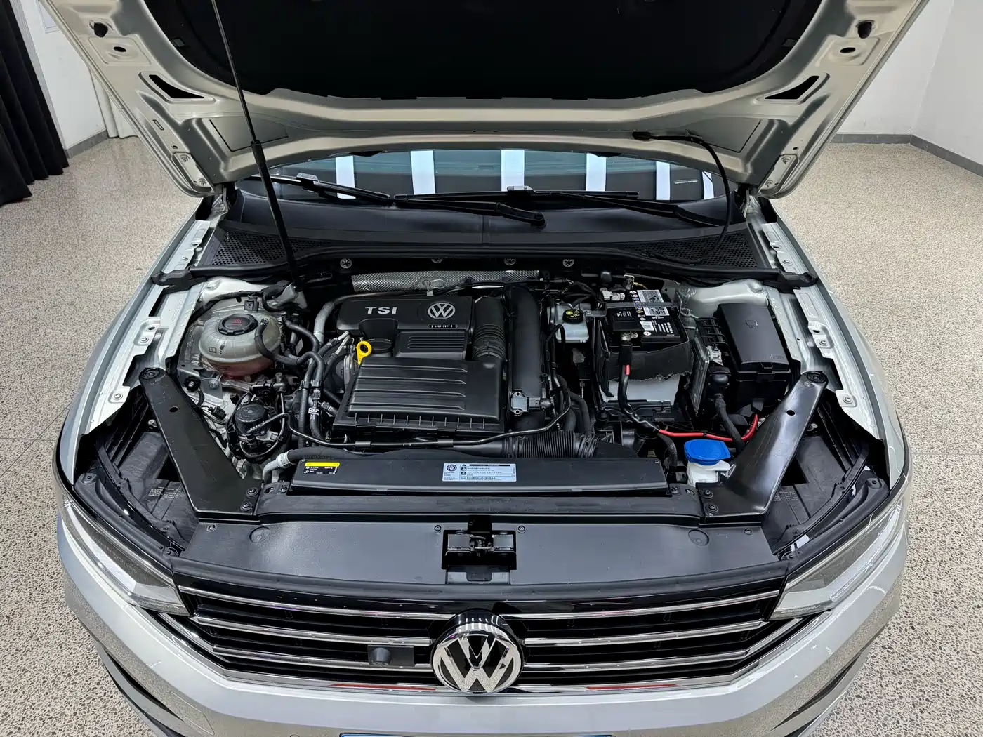 Volkswagen Magotan 2020 280TSI DSG Leading фото 36