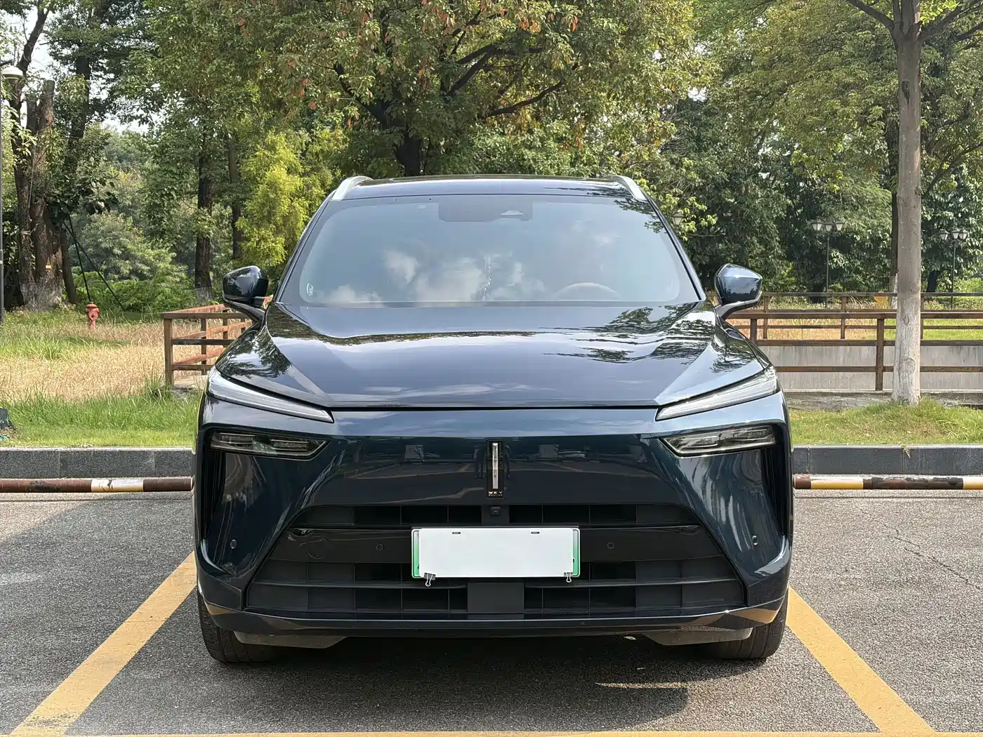 WEY Lanshan 2023 2023 AWD Ultra Long Range Edition