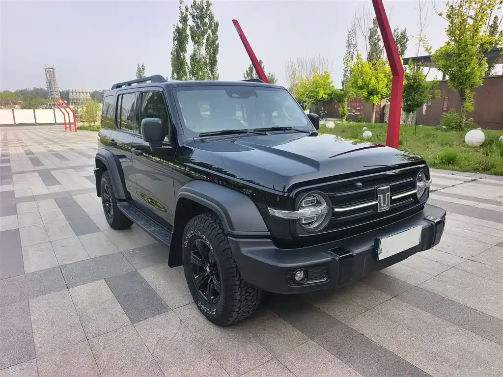 TANK 300