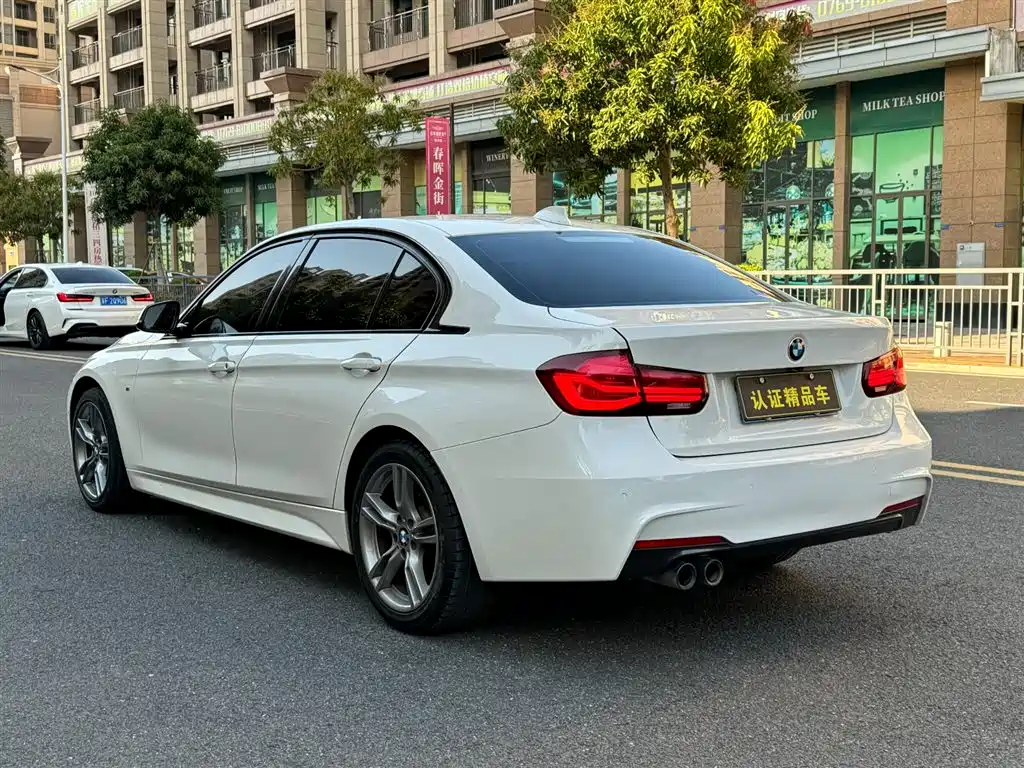 BMW 3 Series 2019 320Li M Sport Black Night Edition фото 8
