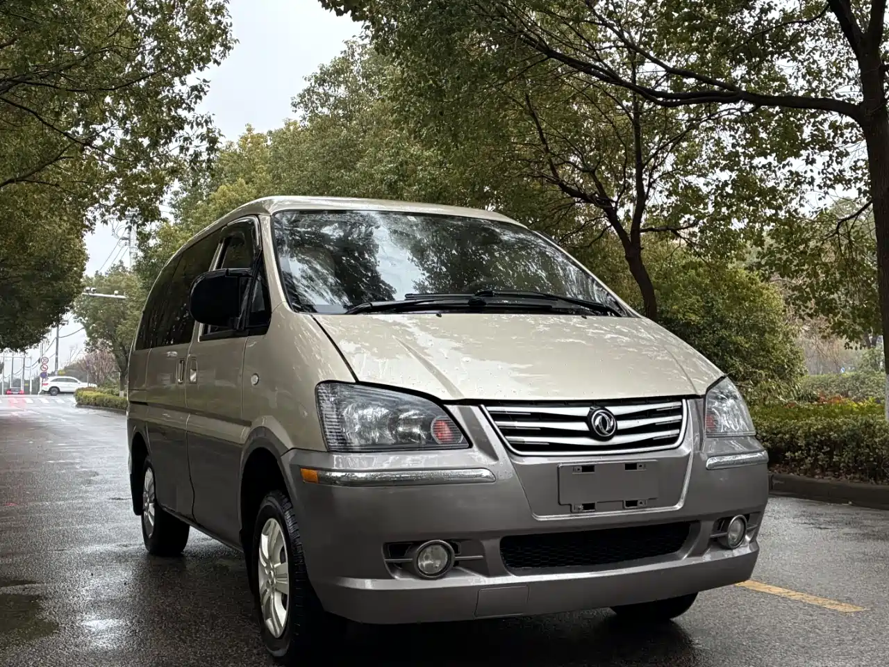 Фото 2 - Dongfeng Fengxing Lingzhi