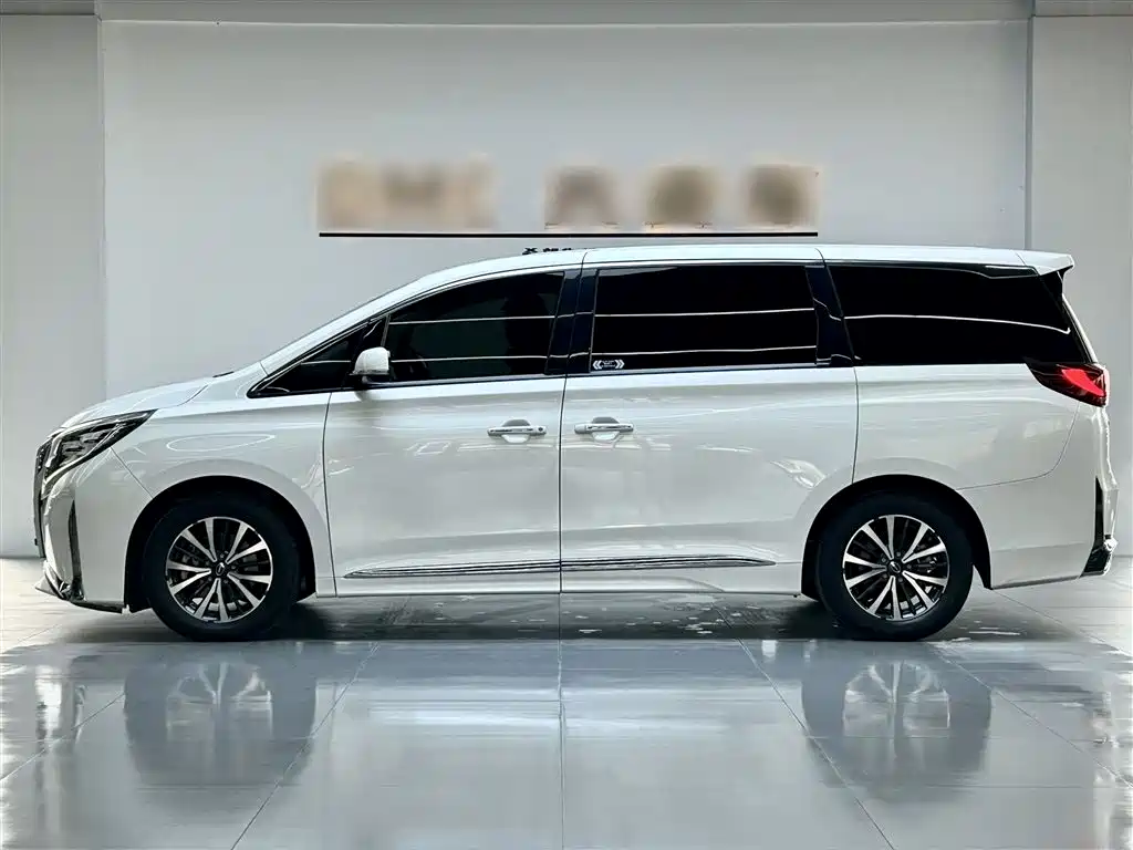 GAC Trumpchi Trumpchi M8 2021 Leading Show Series 390T Premium Edition фото 9