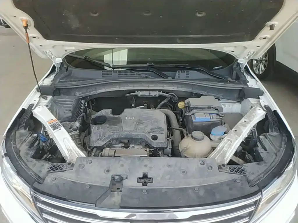 Фото 20 - Roewe RX5