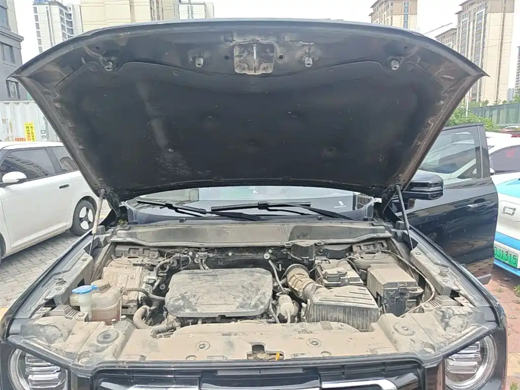 Haval Big Dog 2022 1.5T DCT FWD Labrador Edition фото 20