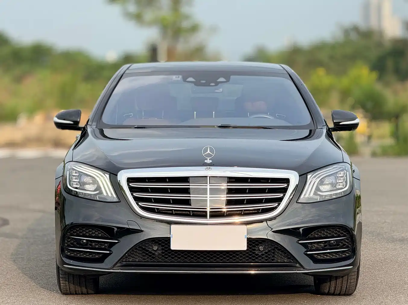 Mercedes-Benz S-Class 2019 S 450 L 4MATIC фото 2