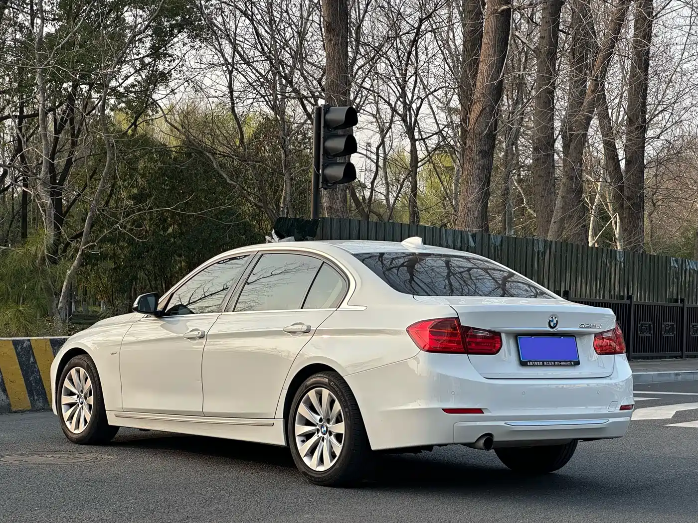 BMW 3 Series 2014 320Li Style Design Package фото 19