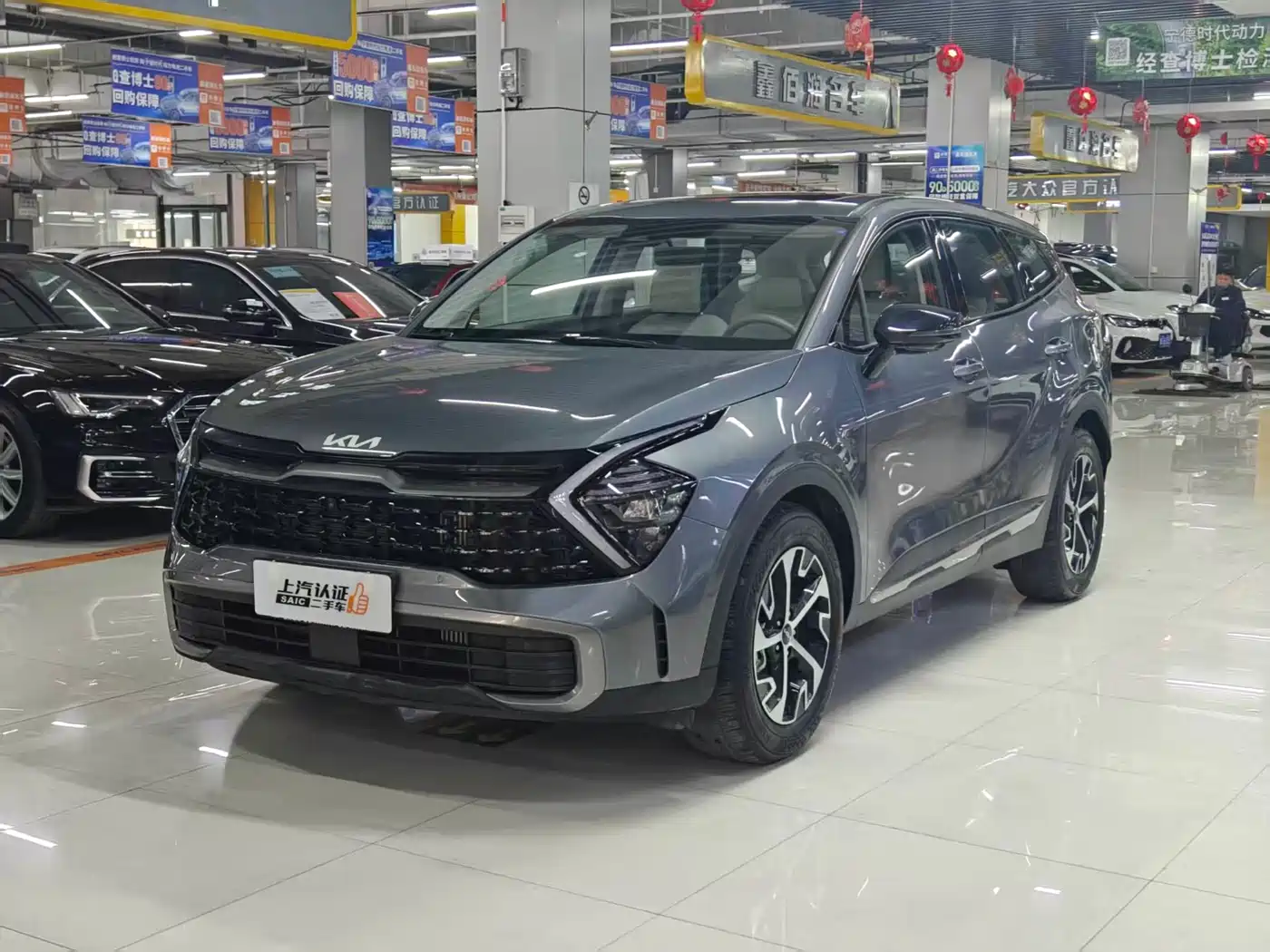 KIA LION PLATINUM EXPANDS THE WORLD
