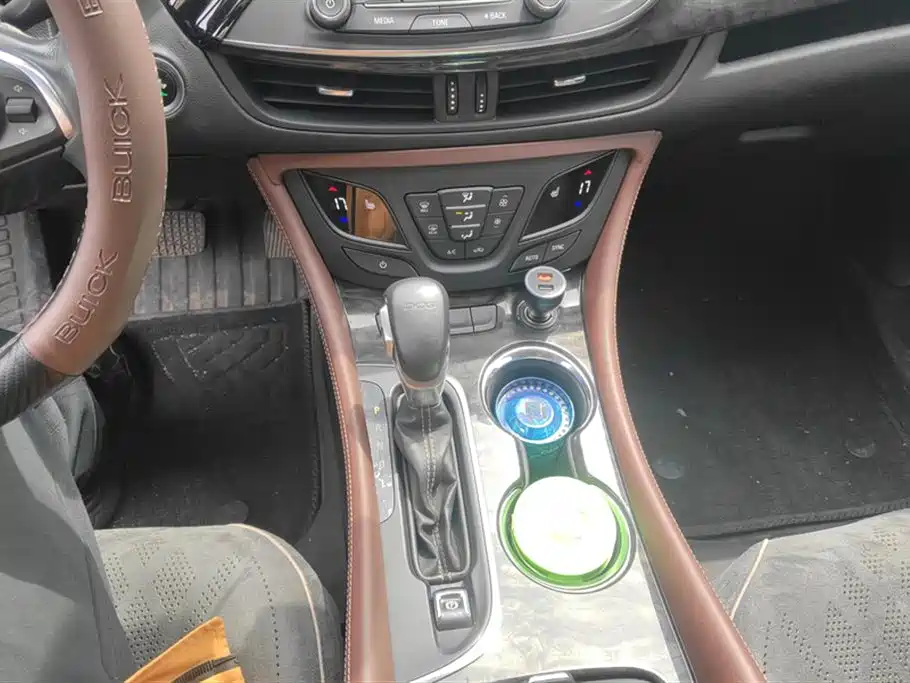 Buick Envision Plus 2016 20T 2WD Elite фото 16