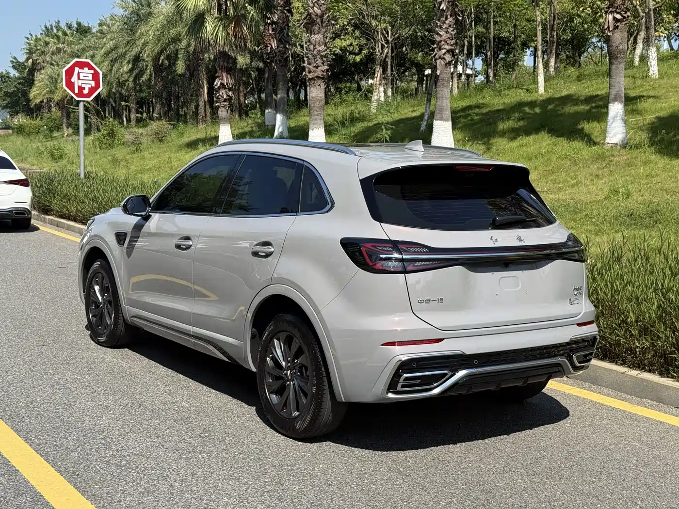 Hongqi HS5 2023 2.0T Flag Enjoy Pro Edition фото 11