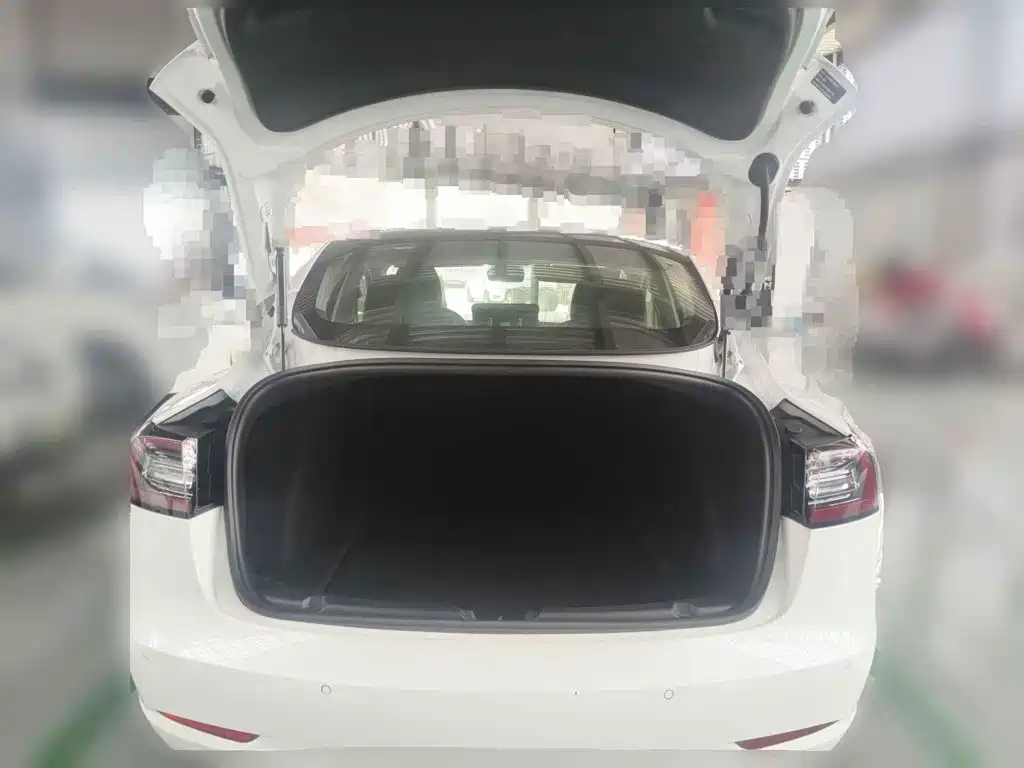 Tesla Model 3 2020 2019 Standard Range Rear-Wheel Drive Upgrade