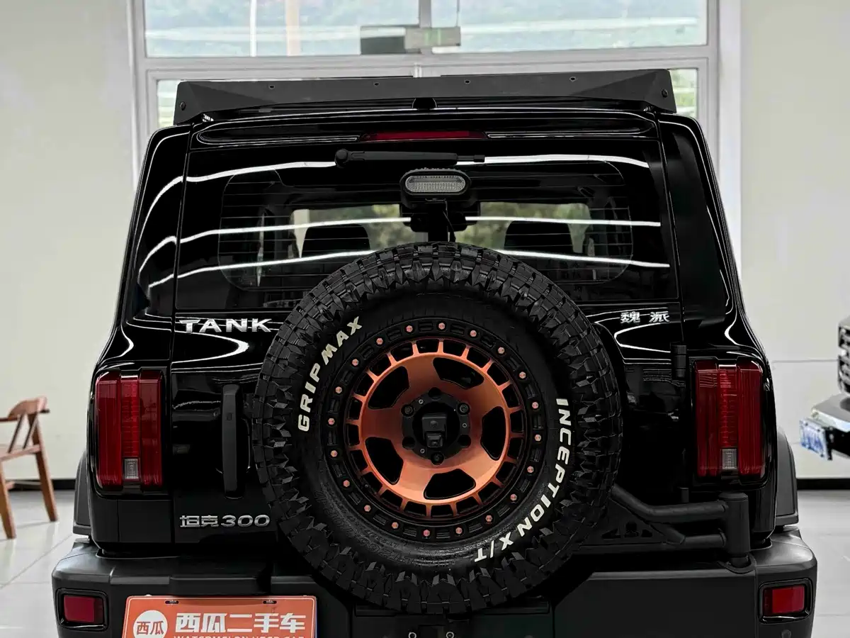 Tank 300 2021 2021 Off-road Version 2.0T Conqueror