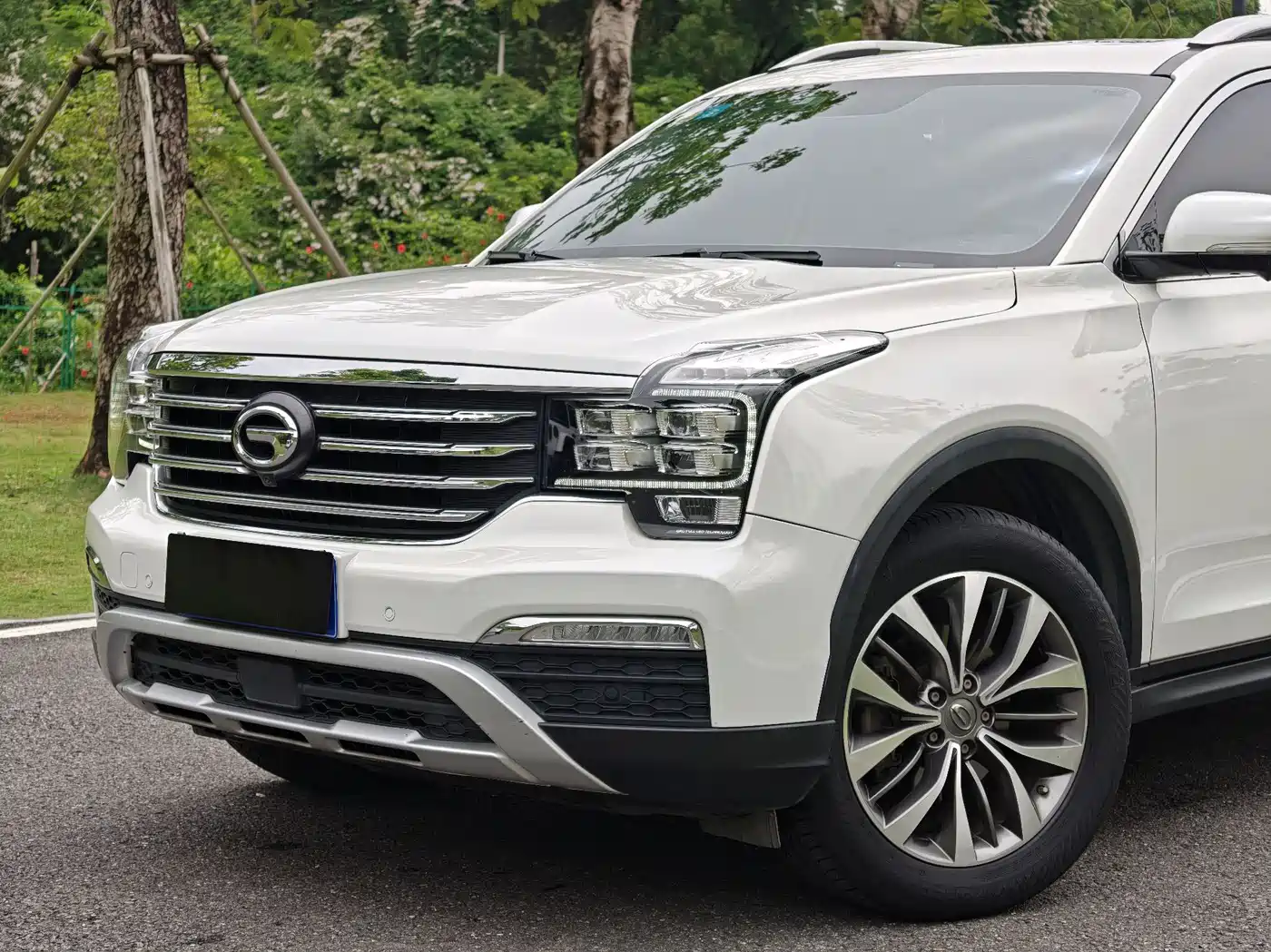 GAC Trumpchi Trumpchi GS8 2017 320T 2WD Luxury Smart Connect (7-seater) фото 2