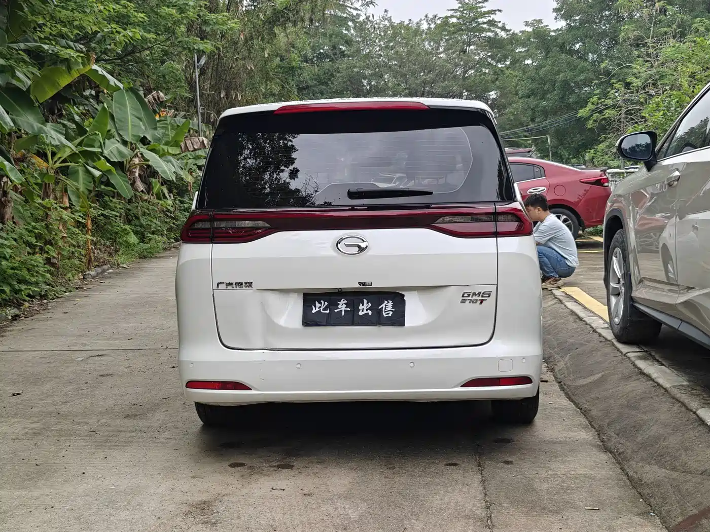 GAC Trumpchi Trumpchi M6 2019 270T Automatic Elite (7-seater) China V фото 7