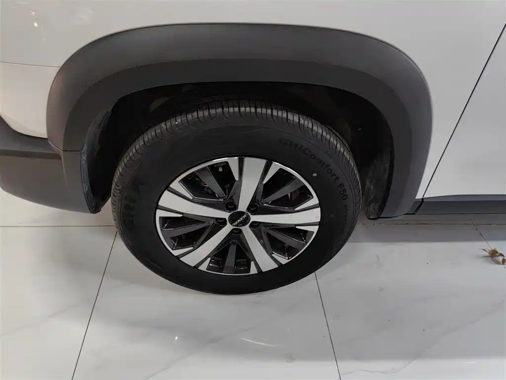 Haval Big Dog 2022 1.5T DCT FWD Labrador Edition фото 23