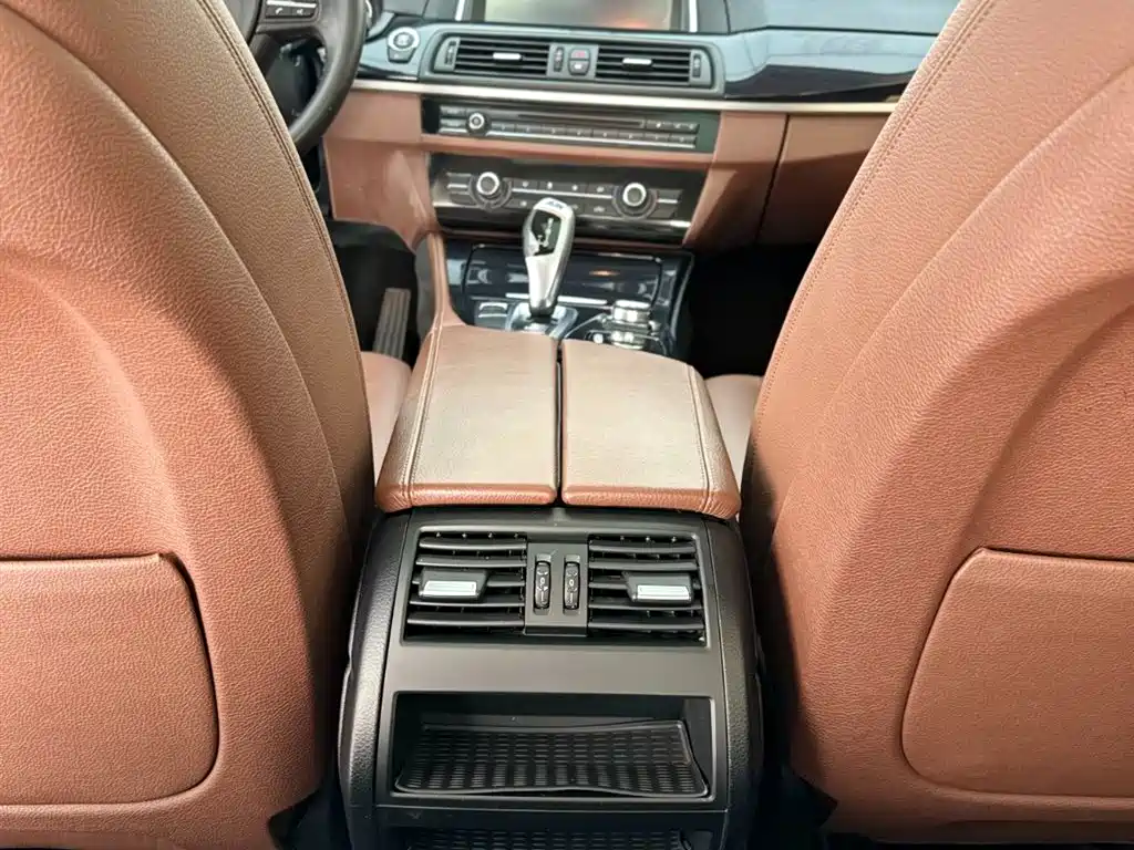 BMW 5 Series 2014 520Li Elegance фото 20
