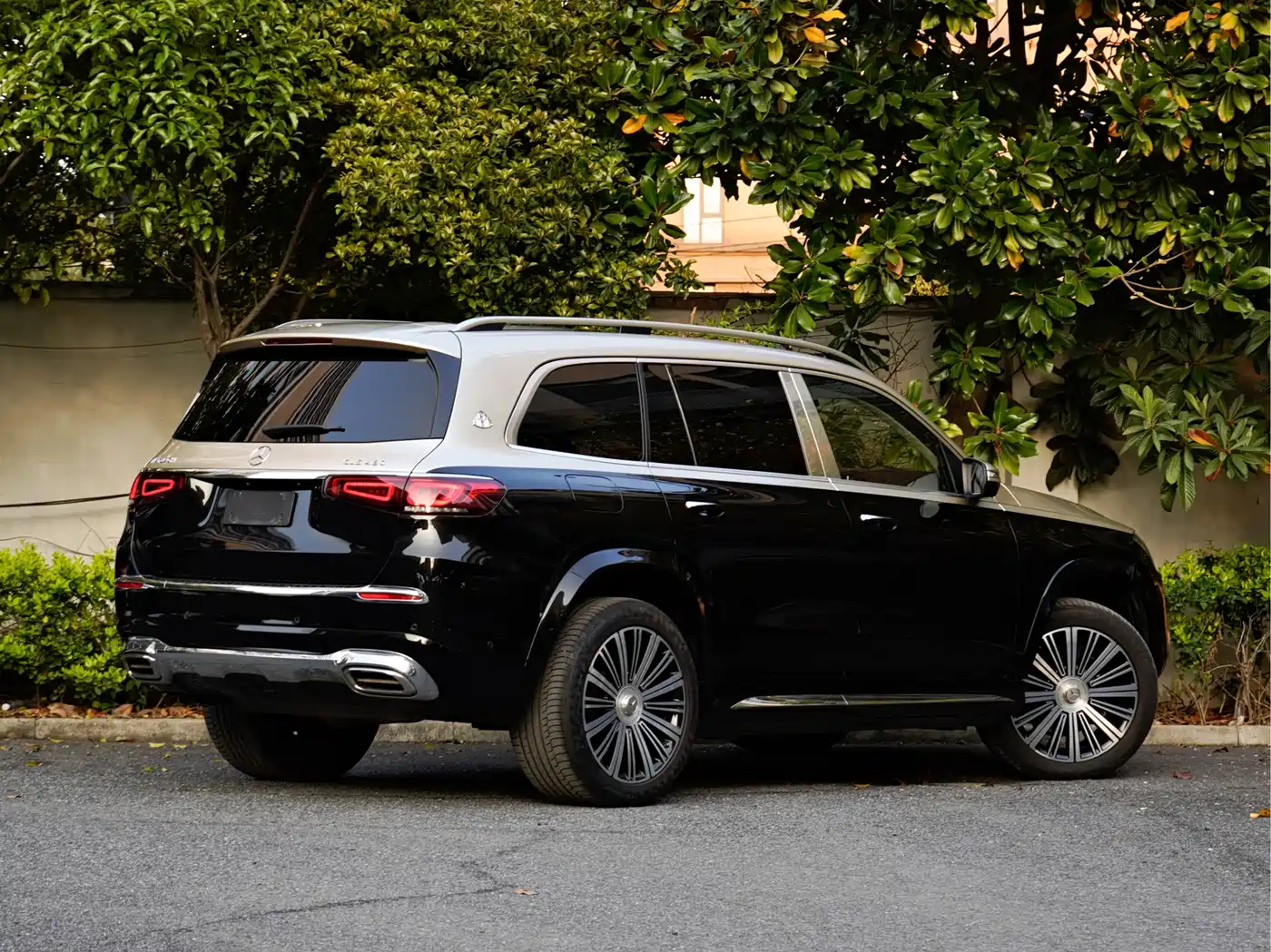 Mercedes-Benz Maybach GLS 2021 GLS 480 4MATIC фото 4