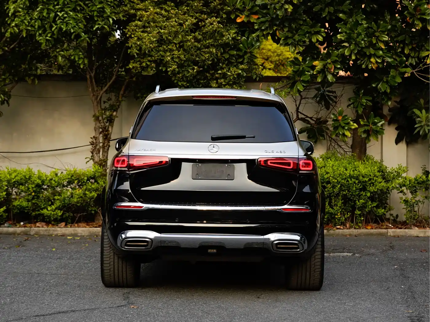 Mercedes-Benz Maybach GLS 2021 GLS 480 4MATIC фото 5