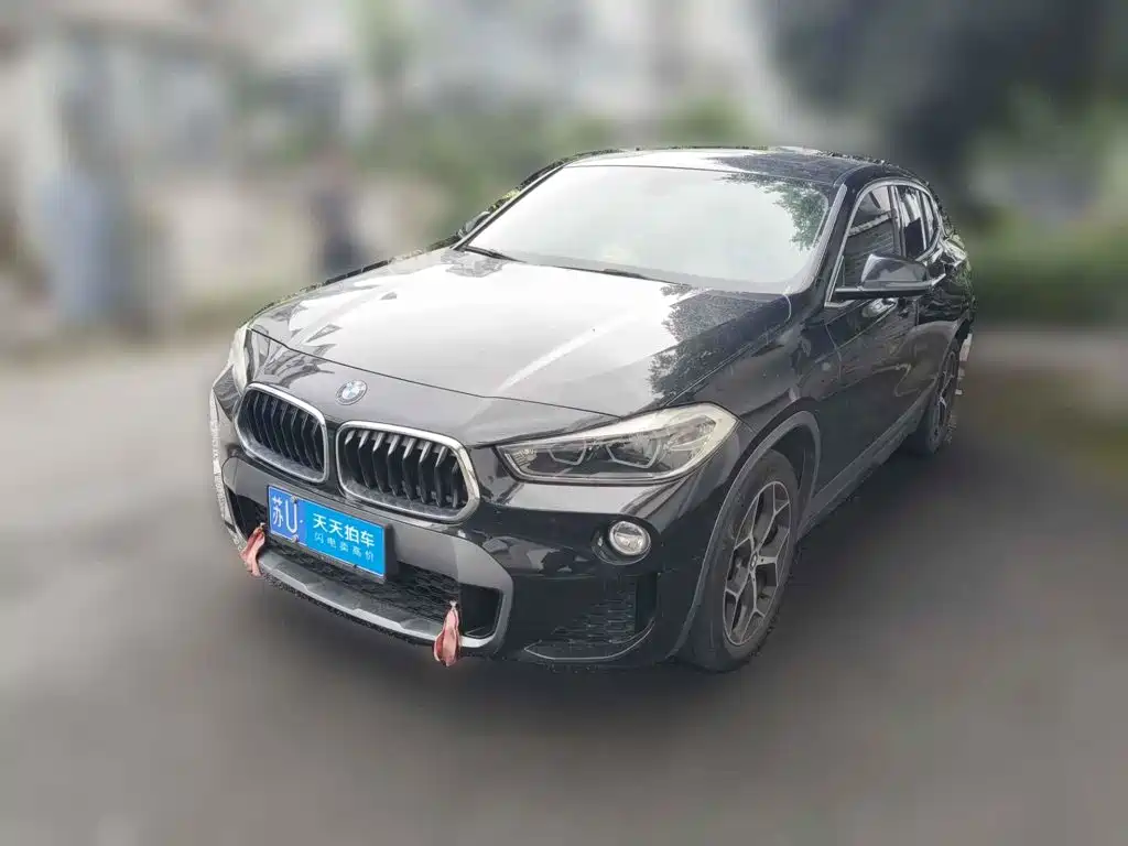 BMW X2 (Import) 2019 sDrive20i M Off-Road Package China VI