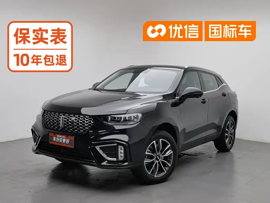2021 WEY VV5