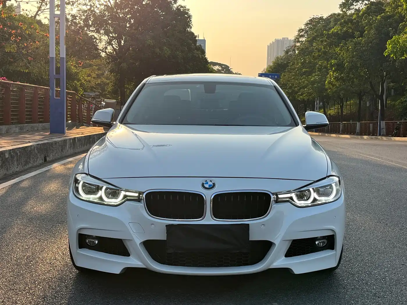 BMW 3 Series 2017 320Li M Sport фото 2