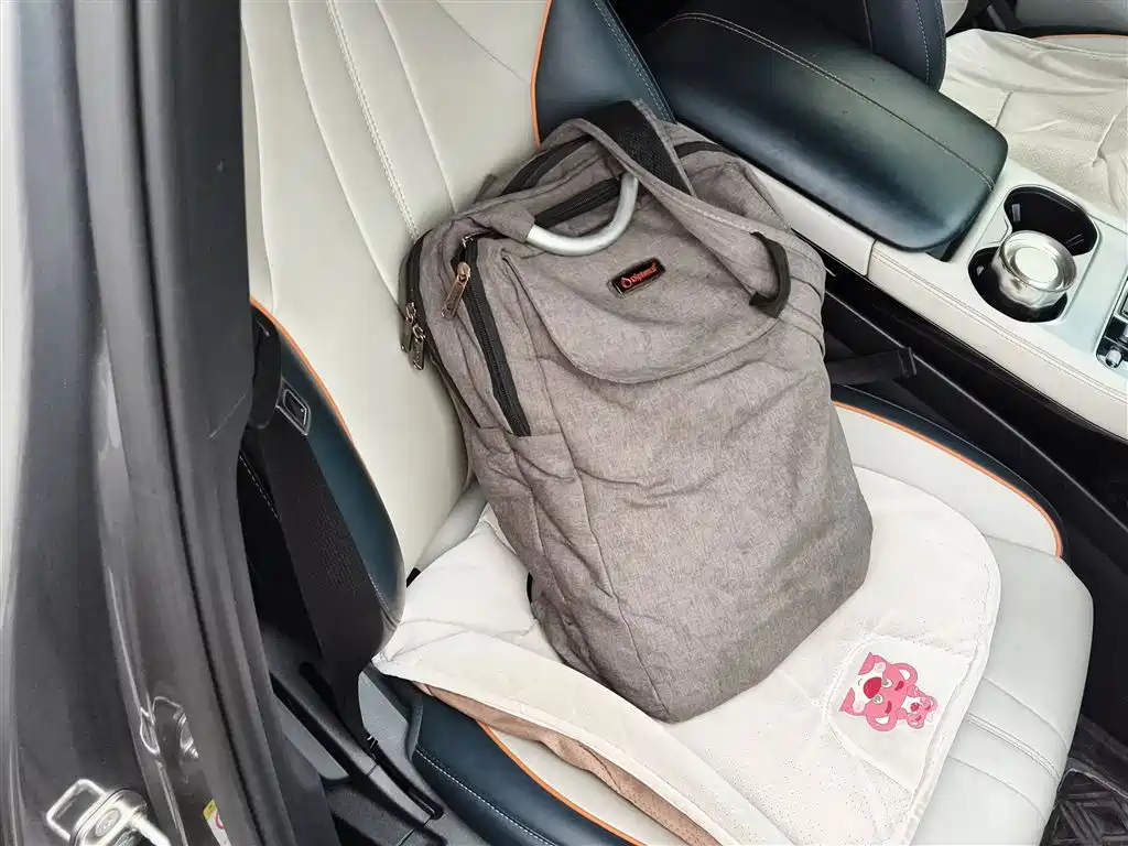 BYD Song PLUS PHEV 2024 Glory Edition DM-i 110km Flagship фото 25