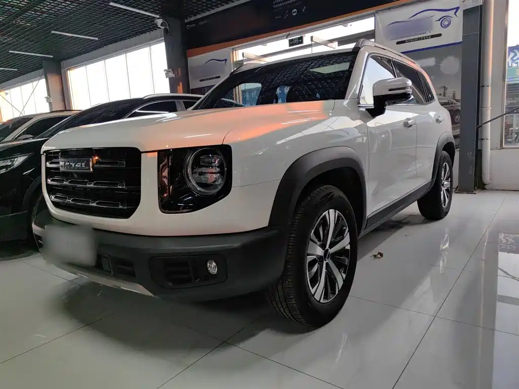 Haval Big Dog 2022 1.5T DCT FWD Labrador Edition