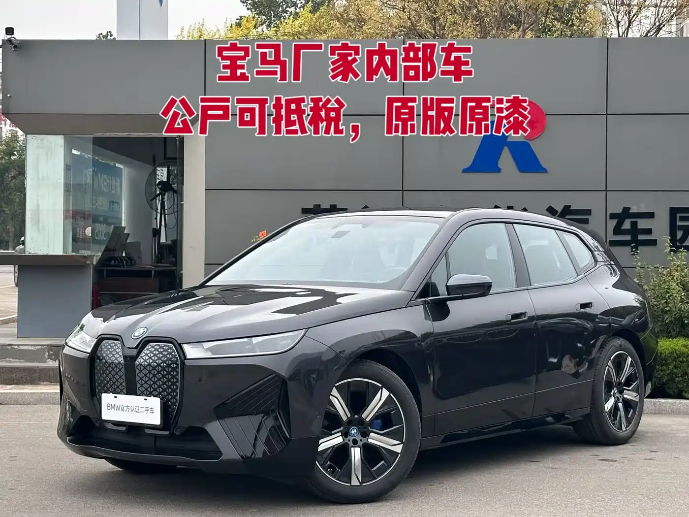 2026 BMW iX