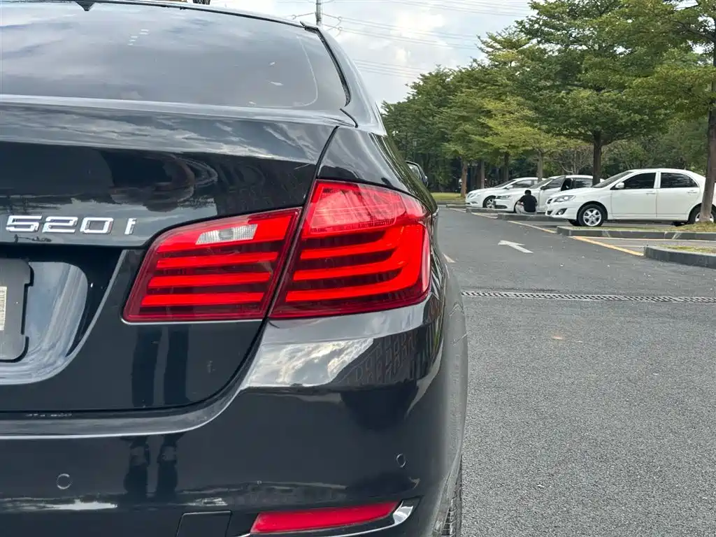 BMW 5 Series (Import) 2015 520i Elegance фото 14