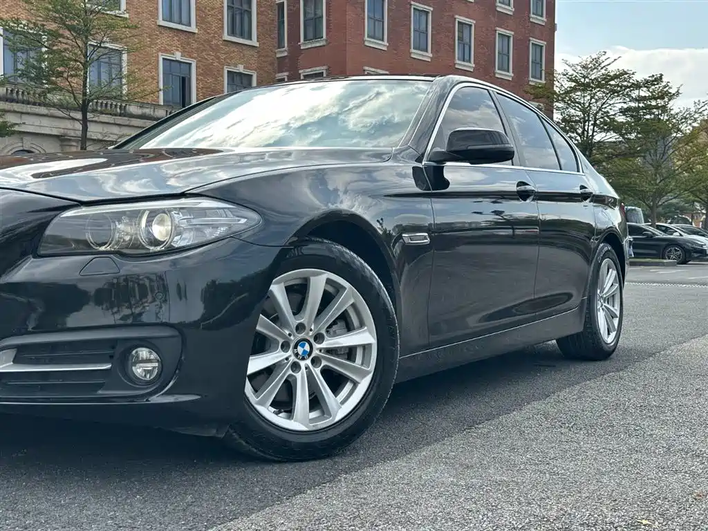BMW 5 Series (Import) 2015 520i Elegance фото 13