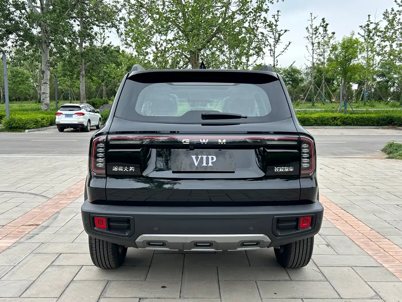 Haval Big Dog 2026 Model 1.5T High Configuration фото 16