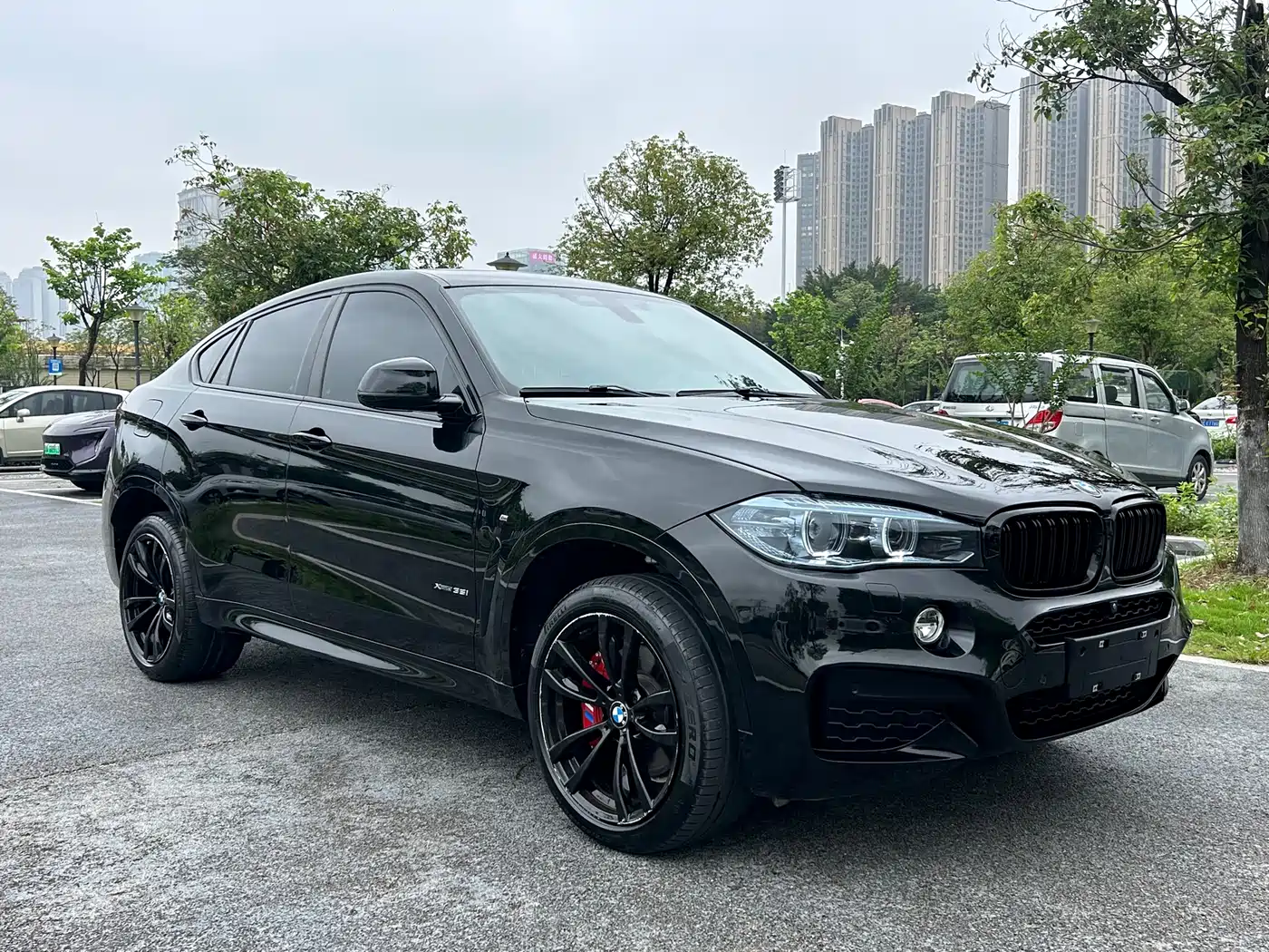 BMW X6 2019 xDrive35i M Sport Package фото 3
