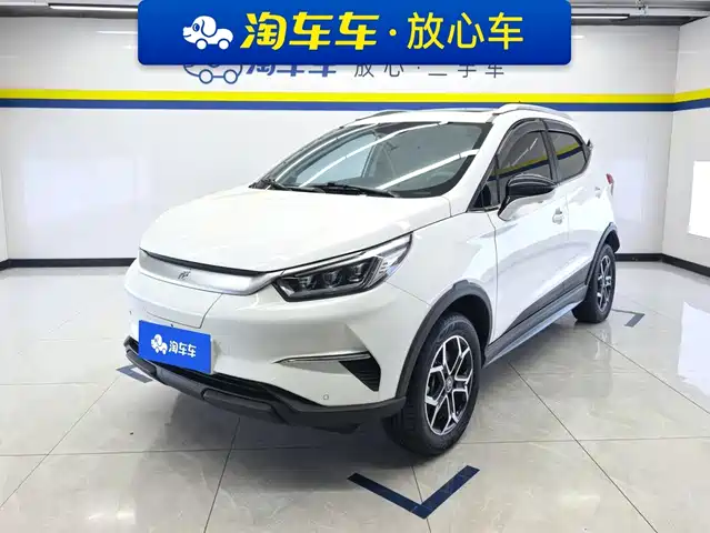  BYD Yuan Pro 2021 401KM Premium Model