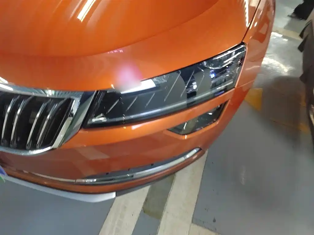 Škoda Karoq 2018 TSI280 Flagship Edition China V фото 24