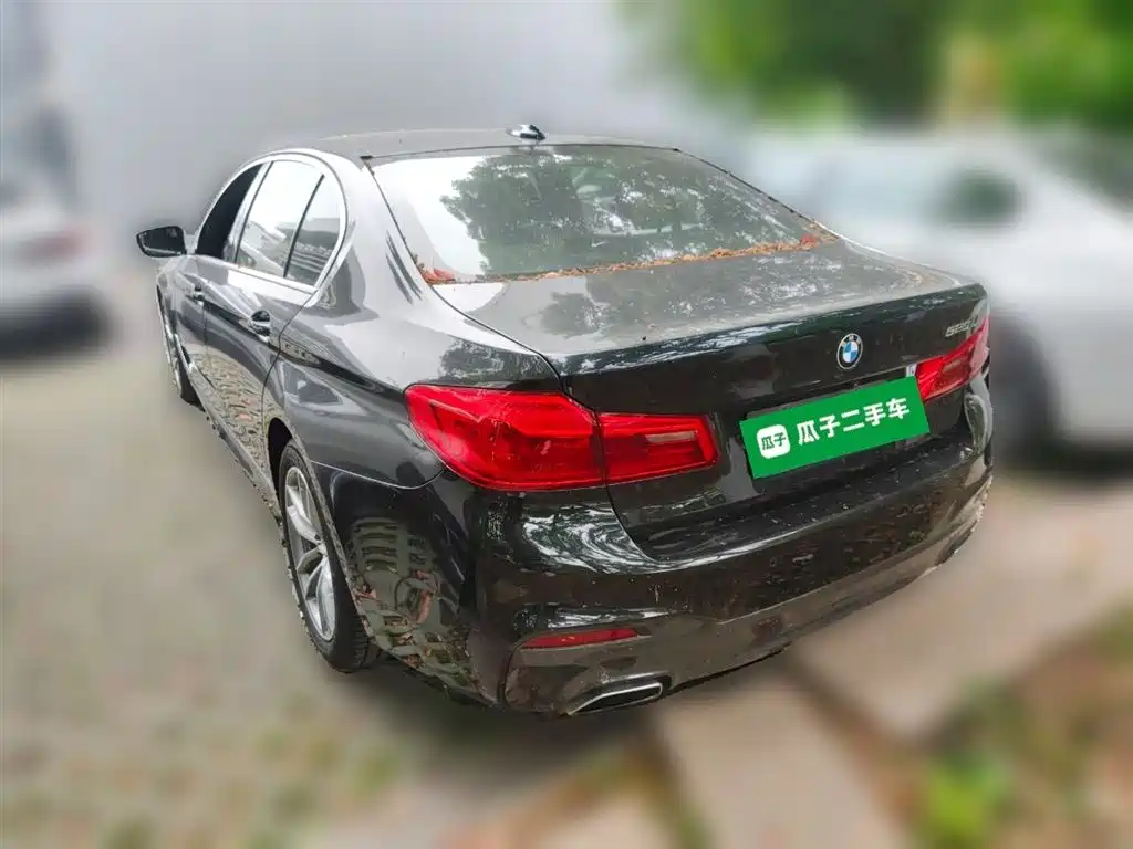 BMW 5 Series 2020 525Li M Sport Package фото 8