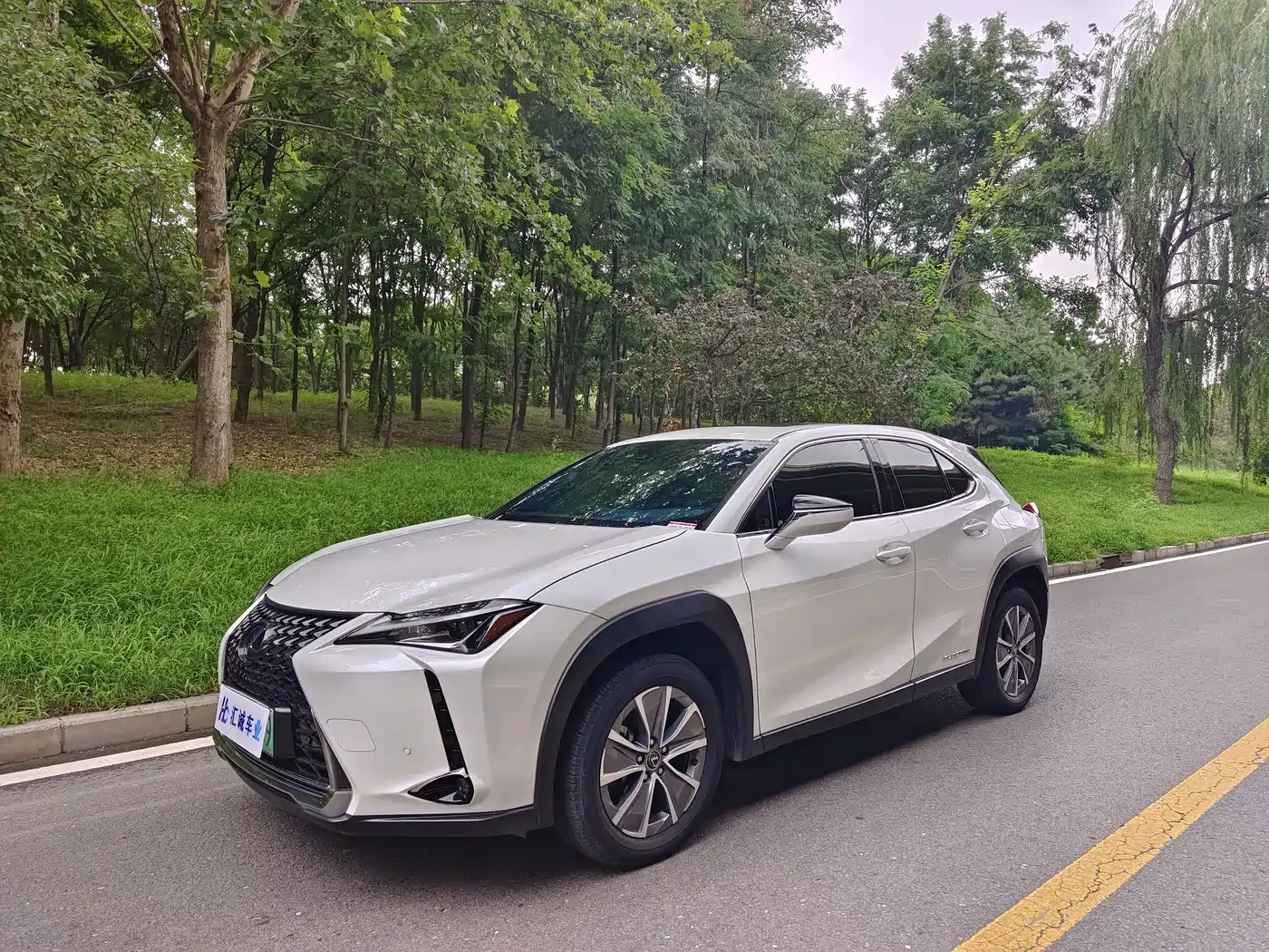 Lexus UX Electric 2023 2020 300e Pure Yue Edition