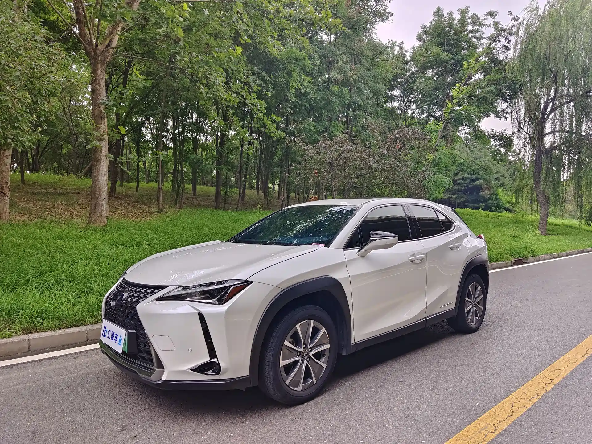 صورة 1 - Lexus UX Electric