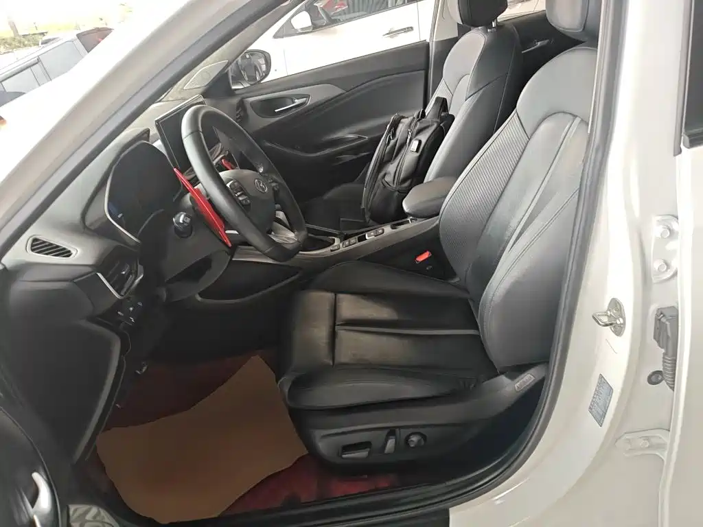 Фото 11 - Hyundai Lafesta