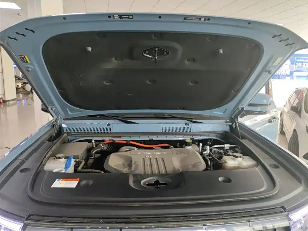 FANG CHENG BAO LEOPARD 5