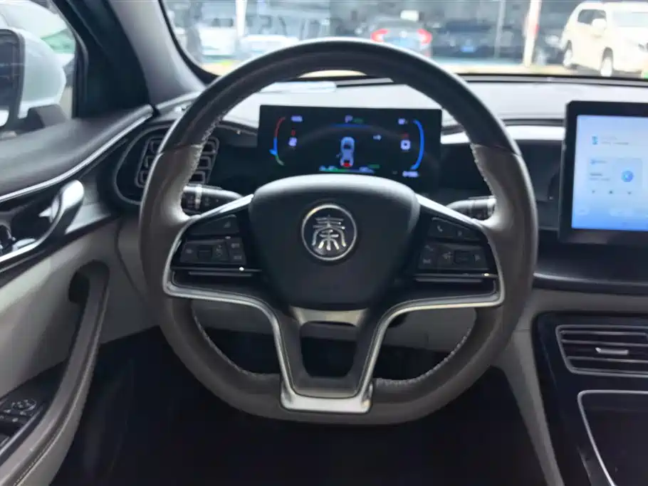 BYD Qin PLUS 2023 Champion Edition EV 420KM Leading Type фото 15