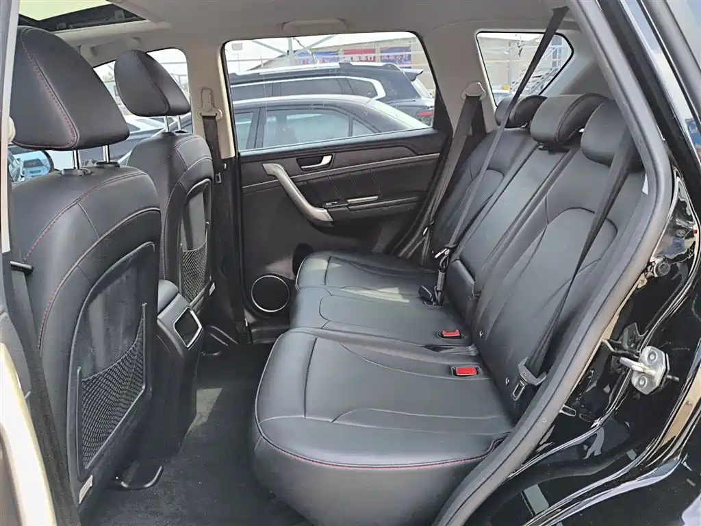 Haval H6 2017 Blue Label Sport 1.5T Auto 2WD Luxury фото 17