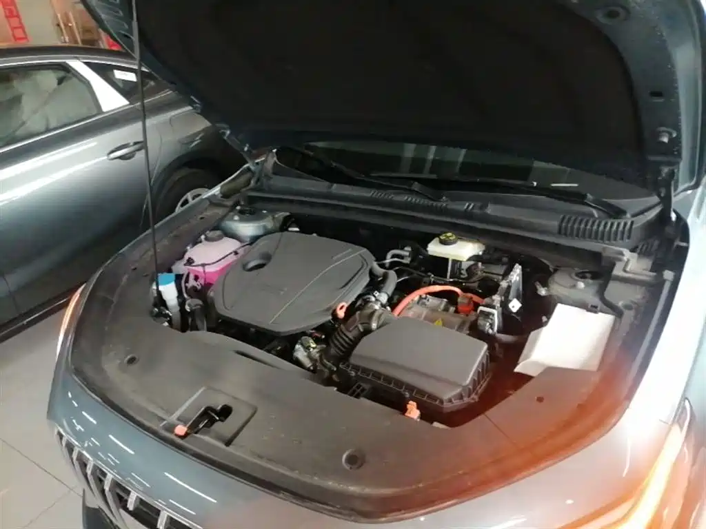 Geely Galaxy Galaxy Stellar 6 2025 Model 125km Free Edition фото 20