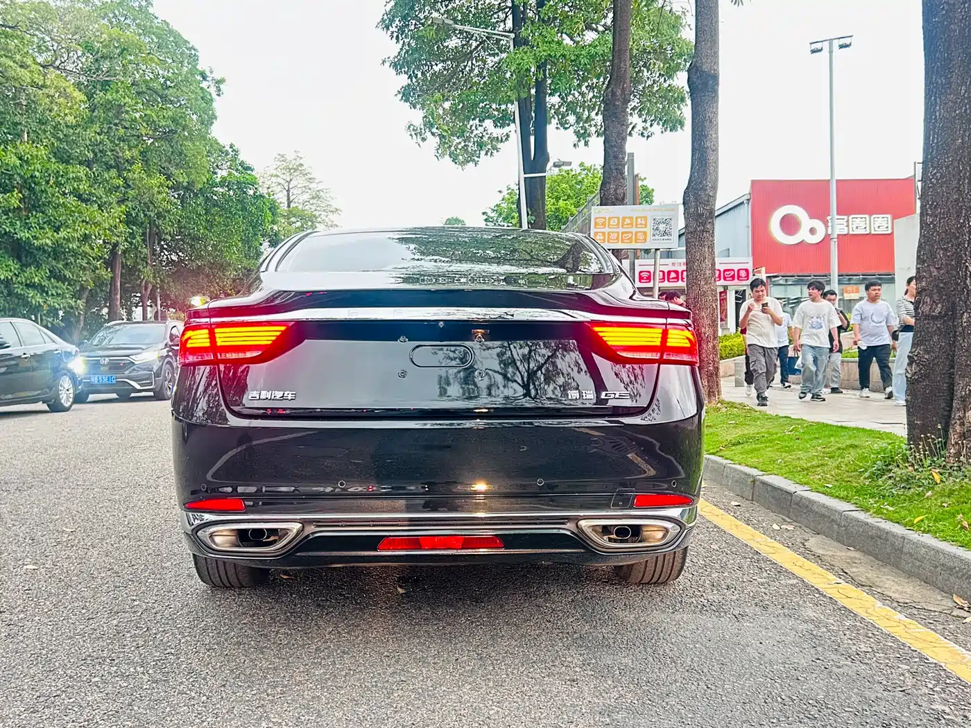 GEELY AUTOMOBILE BORUI NEW ENERGY