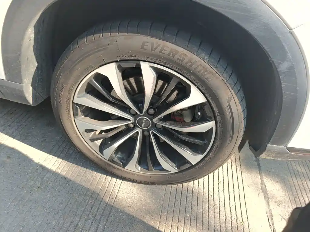 Фото 18 - Roewe RX5 MAX