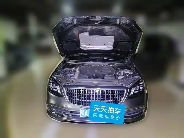 Mercedes-Benz Maybach S-Class 2020 S 450 4MATIC Collector's Edition — фото 3